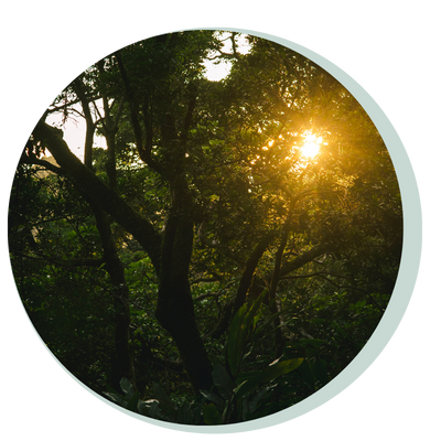 NIHB Counselling Saskatoon